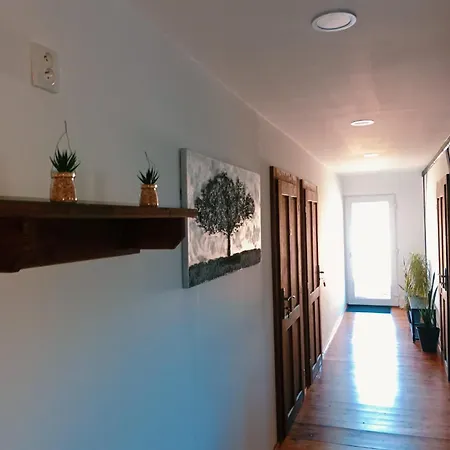 Apartment Vaclav